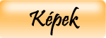 Trtnelem kpekben s viden